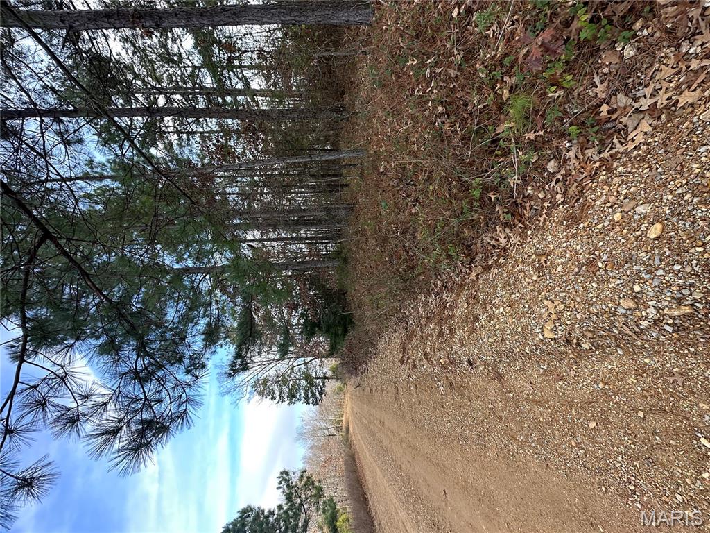 Tbd Minorca Road Datto, AR 72444 - Photo 25 of 37