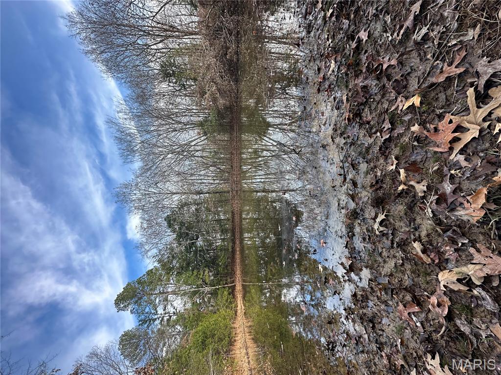 Tbd Minorca Road Datto, AR 72444 - Photo 28 of 37