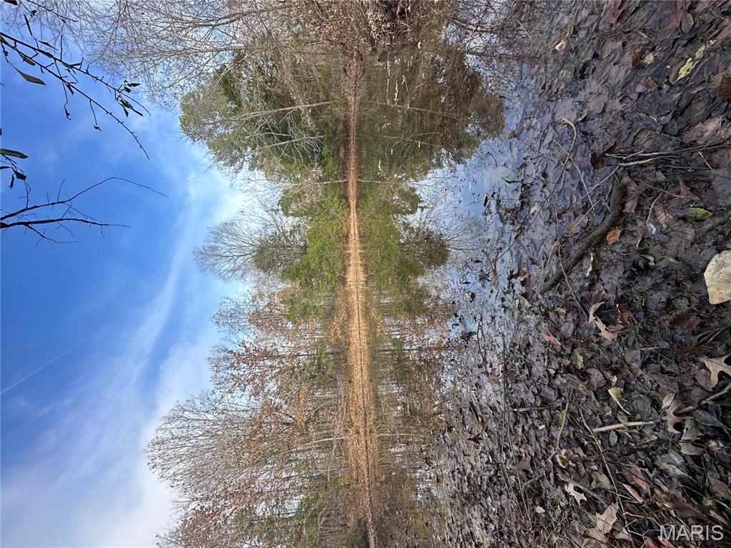 Tbd Minorca Road Datto, AR 72444 - Photo 29 of 37