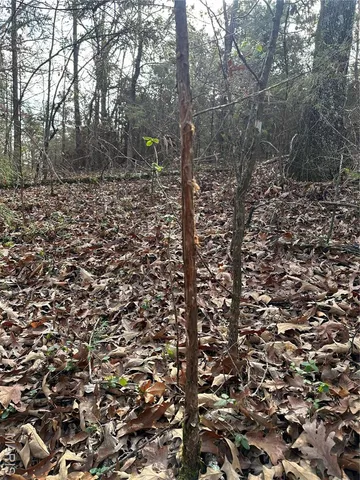 $44,900 | Tbd Minorca Road, Datto, AR 72444