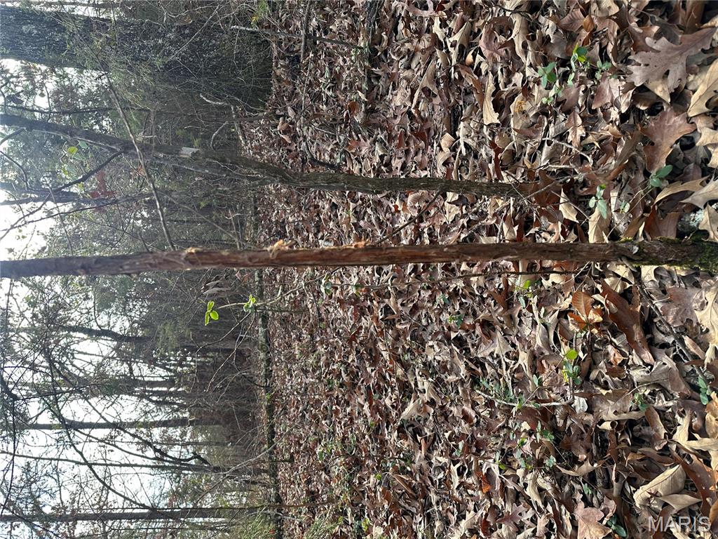 Tbd Minorca Road Datto, AR 72444 - Photo 30 of 37