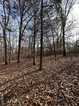 $44,900 | Tbd Minorca Road, Datto, AR 72444