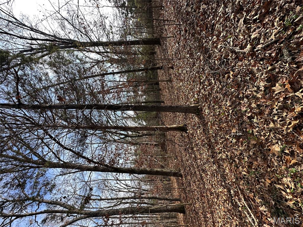 Tbd Minorca Road Datto, AR 72444 - Photo 31 of 37