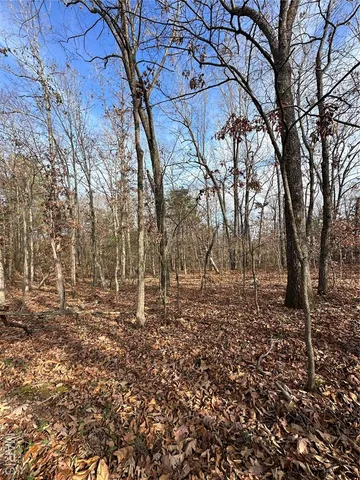 $44,900 | Tbd Minorca Road, Datto, AR 72444