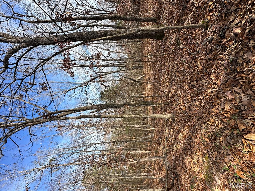 Tbd Minorca Road Datto, AR 72444 - Photo 32 of 37