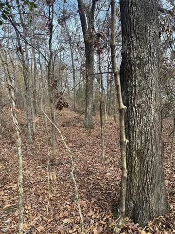 $44,900 | Tbd Minorca Road, Datto, AR 72444