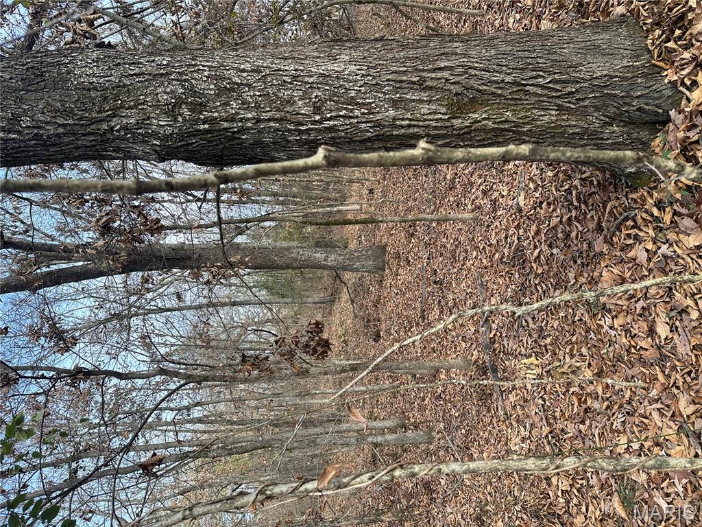 Tbd Minorca Road Datto, AR 72444 - Photo 33 of 37