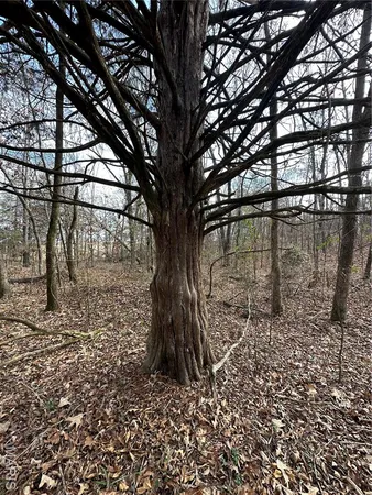 $44,900 | Tbd Minorca Road, Datto, AR 72444