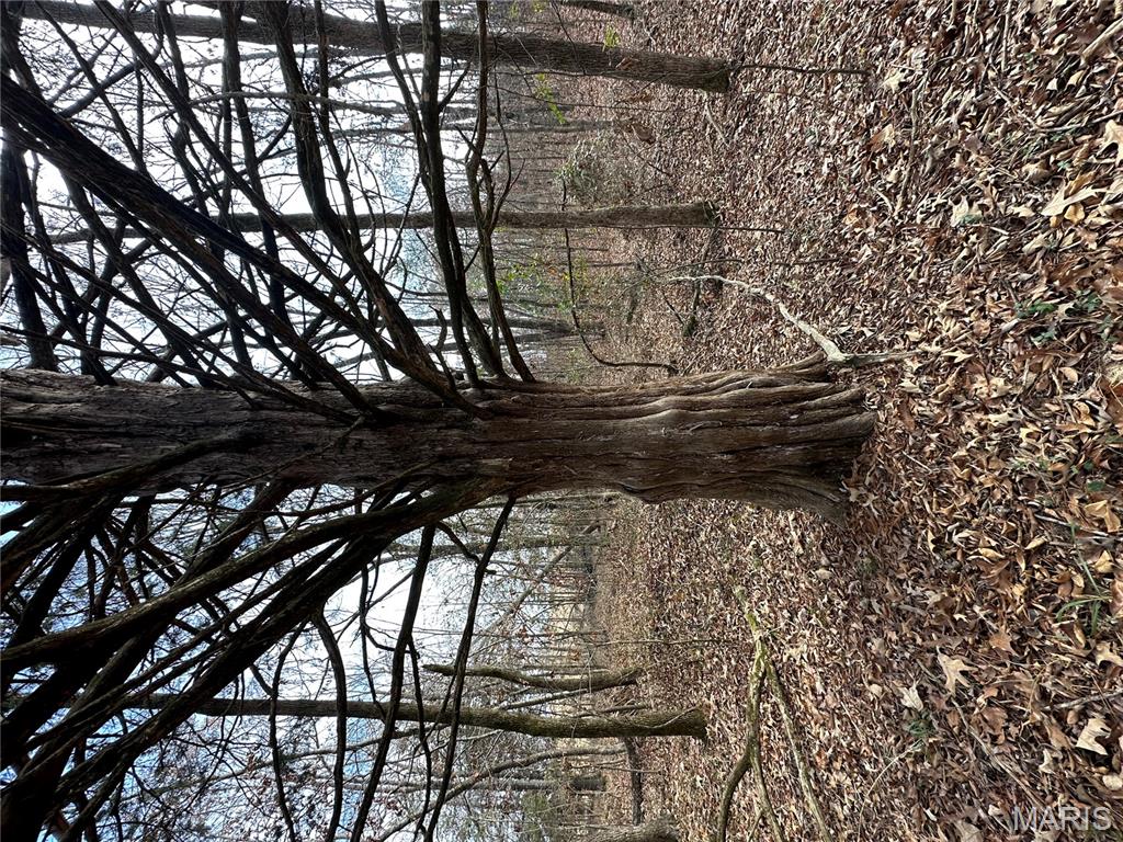 Tbd Minorca Road Datto, AR 72444 - Photo 34 of 37