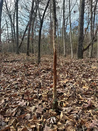 $44,900 | Tbd Minorca Road, Datto, AR 72444