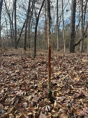 $44,900 | Tbd Minorca Road, Datto, AR 72444