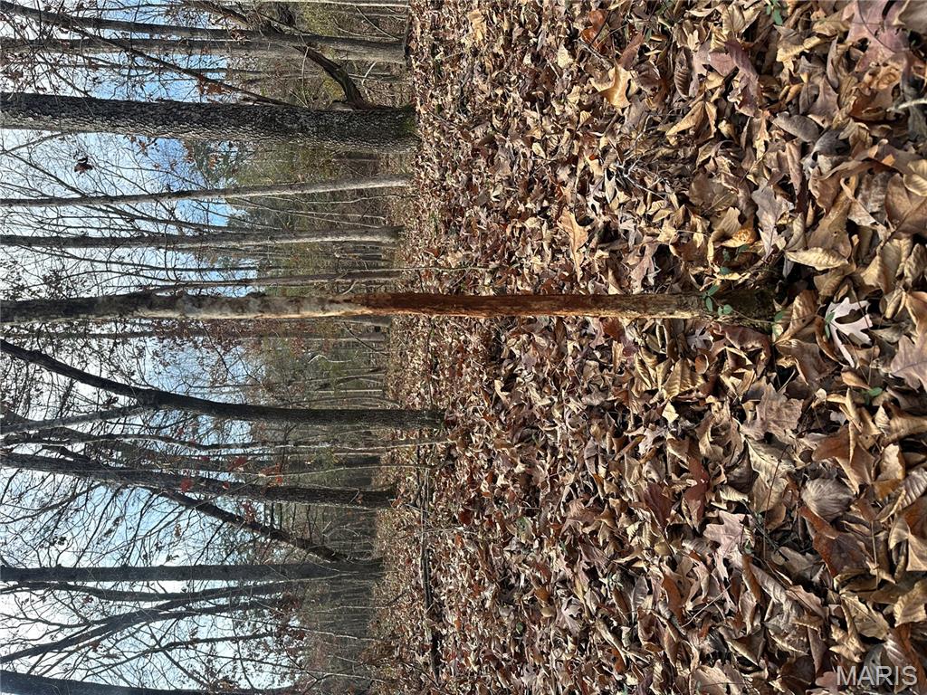 Tbd Minorca Road Datto, AR 72444 - Photo 4 of 37