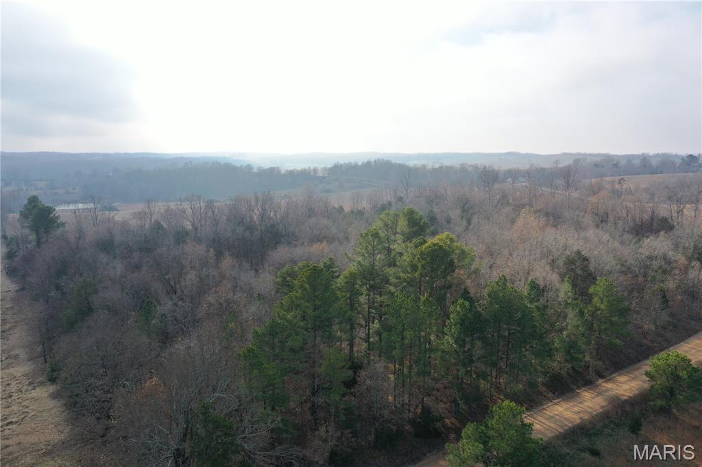 Tbd Minorca Road Datto, AR 72444 - Photo 6 of 37