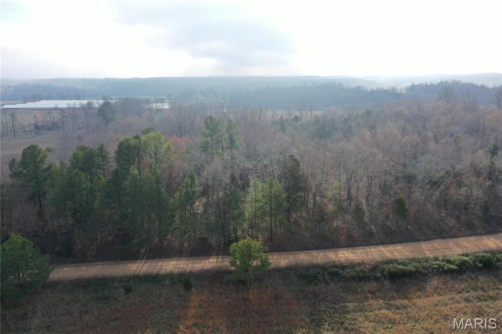 Tbd Minorca Road Datto, AR 72444 - Photo 7 of 37