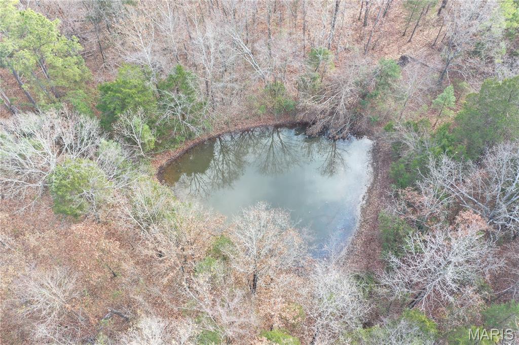 Tbd Minorca Road Datto, AR 72444 - Photo 8 of 37