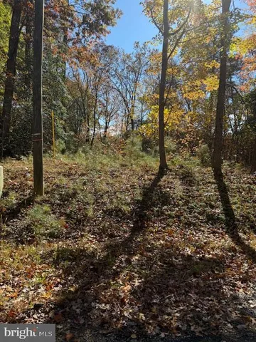 a view of a yard with lots of bushes