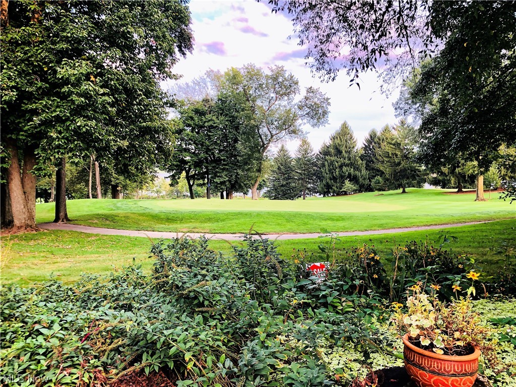 1175 East Calla Road, Unit C111 Youngstown, OH 44514 - Photo 32 of 33 View of golf course