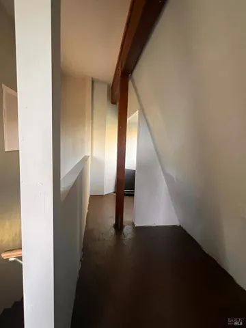 a view of a garden with a fountain