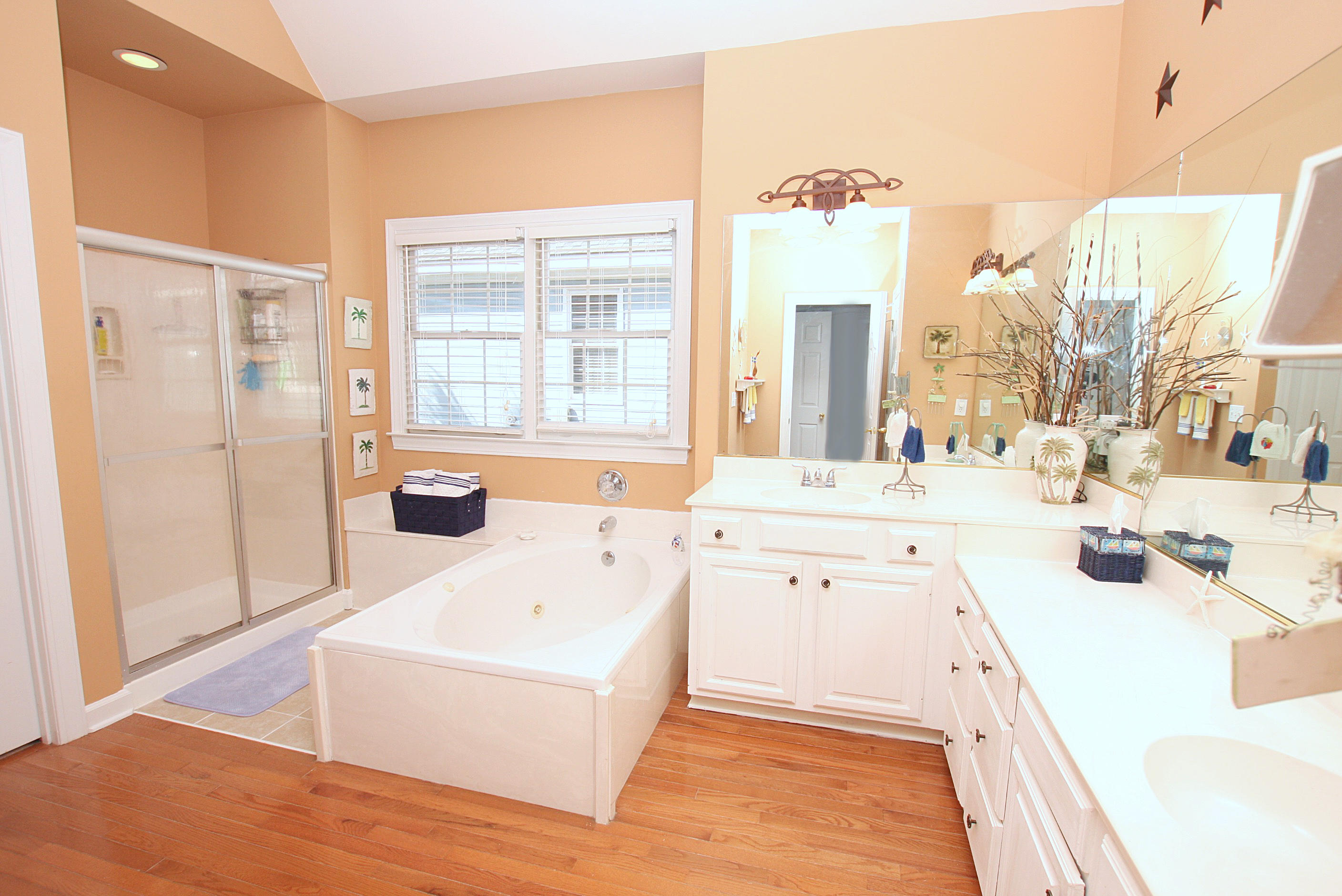 3076 Linksland Road Mount Pleasant, SC 29466 - Photo 8 of 20 Master Bath