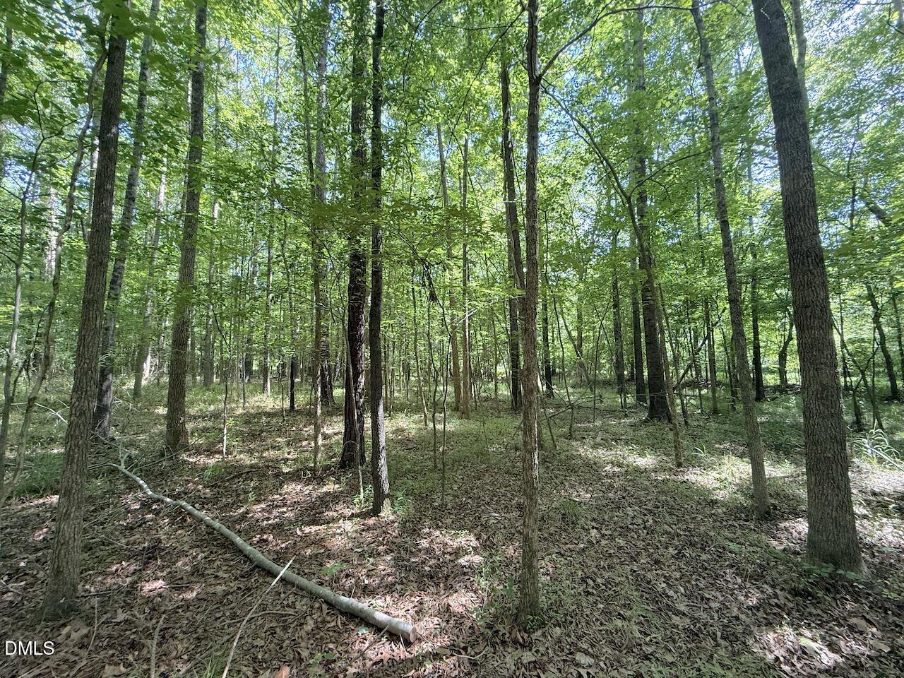 0 Tar River Road Oxford, NC 27565 - Photo 25 of 34 25