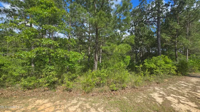 $28,000 | Mellie Lane, Leakesville, MS 39451