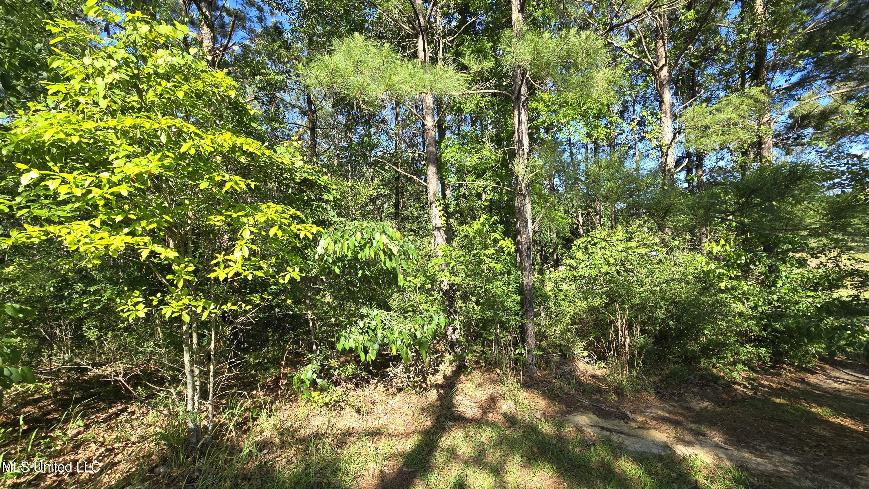 Mellie Lane Leakesville, MS 39451 - Photo 11 of 16 1000040034