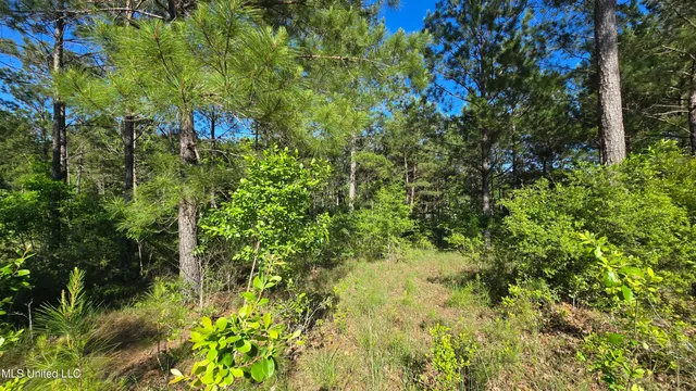 $28,000 | Mellie Lane, Leakesville, MS 39451