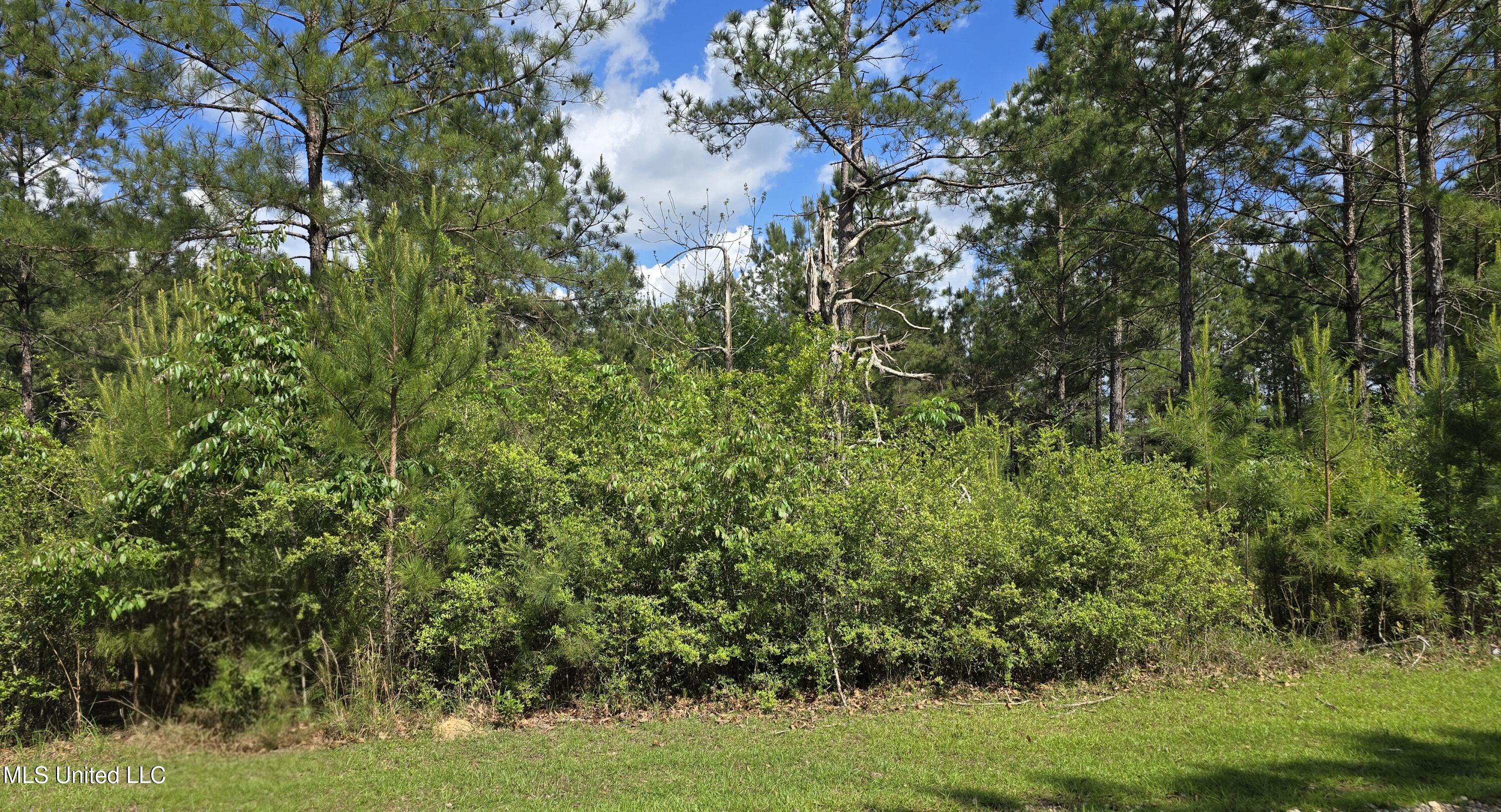 Mellie Lane Leakesville, MS 39451 - Photo 2 of 16 20250428_152529(1)