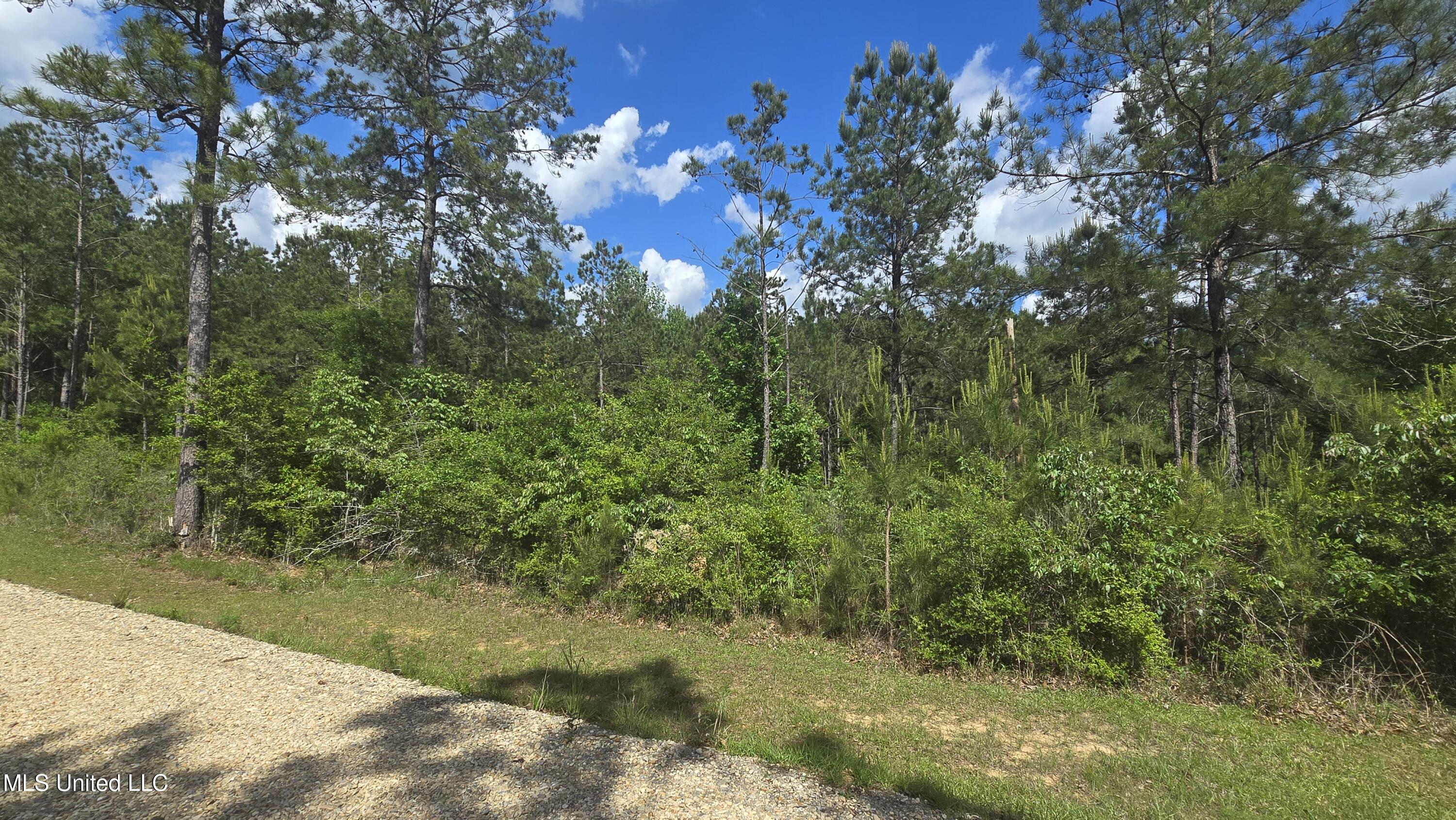 Mellie Lane Leakesville, MS 39451 - Photo 3 of 16 20250428_152609