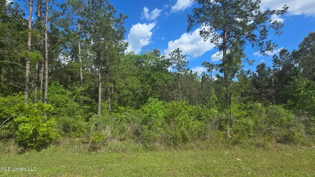 $28,000 | Mellie Lane, Leakesville, MS 39451