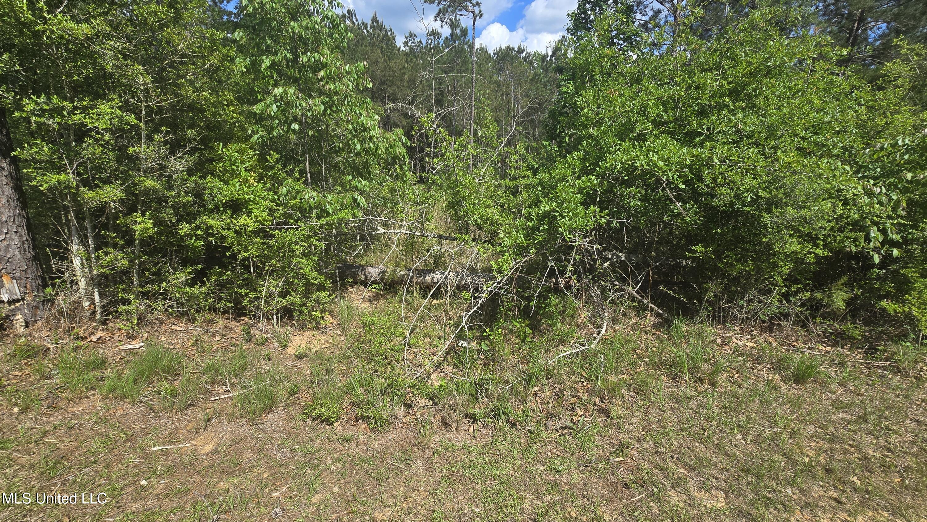 Mellie Lane Leakesville, MS 39451 - Photo 6 of 16 20250428_152828
