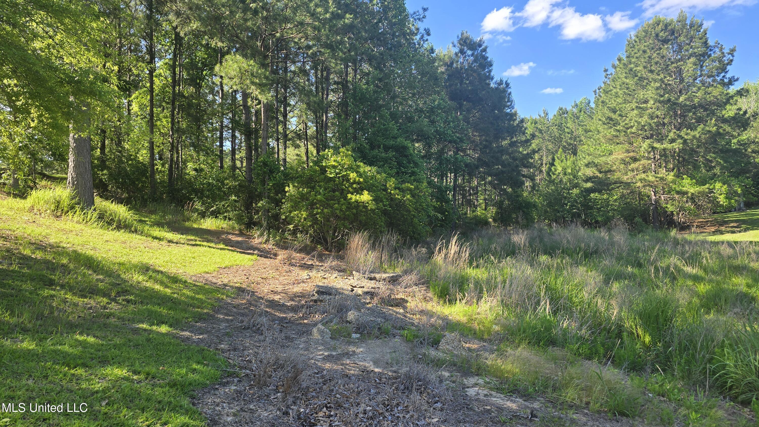 Mellie Lane Leakesville, MS 39451 - Photo 8 of 16 1000040030