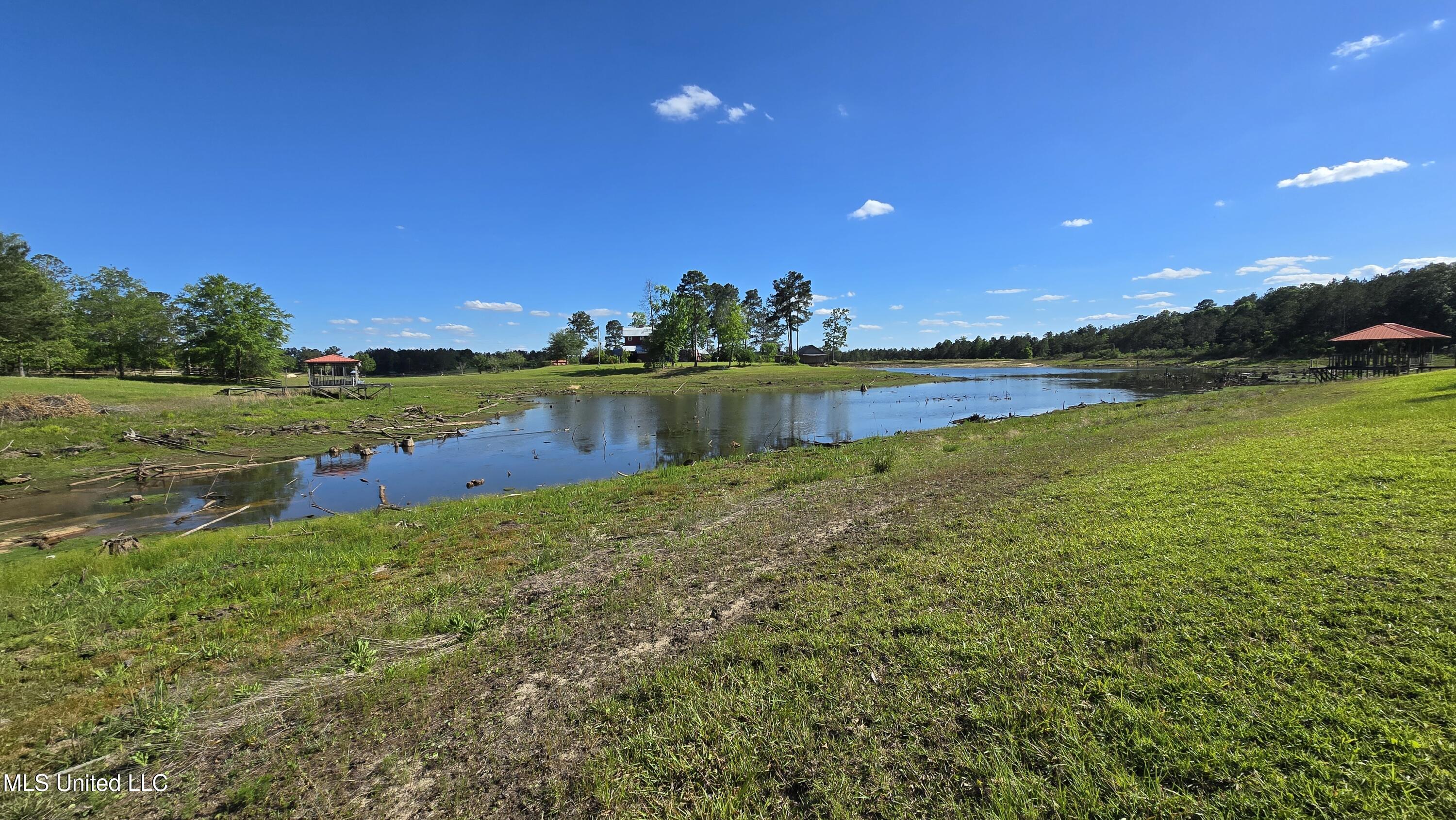 Mellie Lane Leakesville, MS 39451 - Photo 10 of 16 1000040027