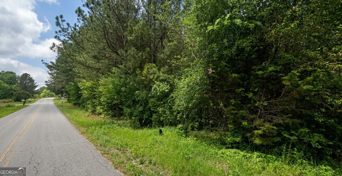 0 Collard Valley Road, Unit LOT 1 Cedartown, GA 30104 - Photo 4 of 8