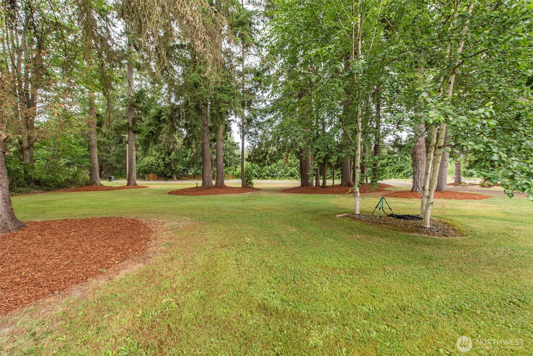 1653 Taylor Cutoff Road Sequim, WA 98382 - Photo 13 of 40
