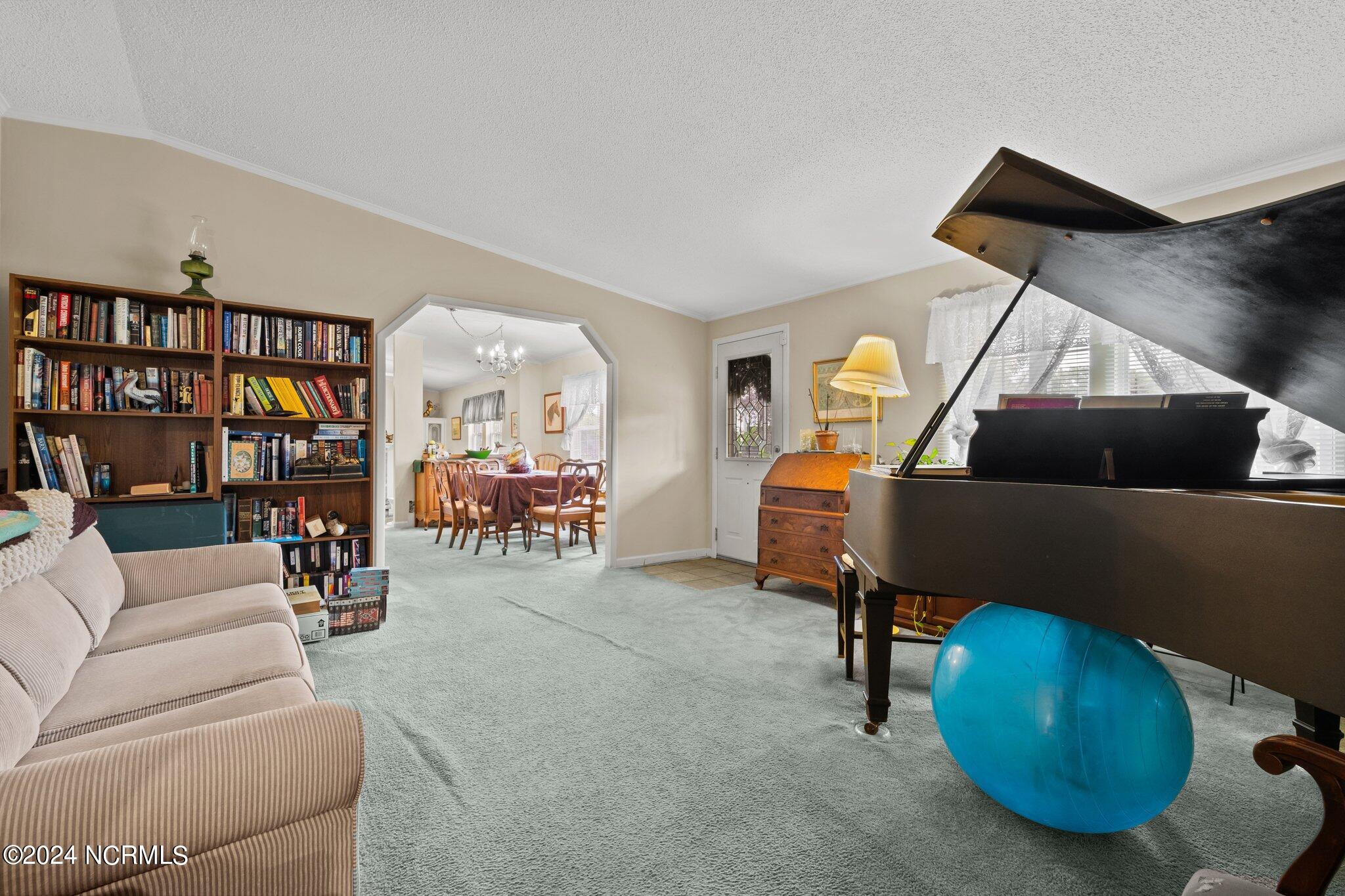 654 Dowd Road Candor, NC 27229 - Photo 52 of 64 13-web-or-mls-707A9069