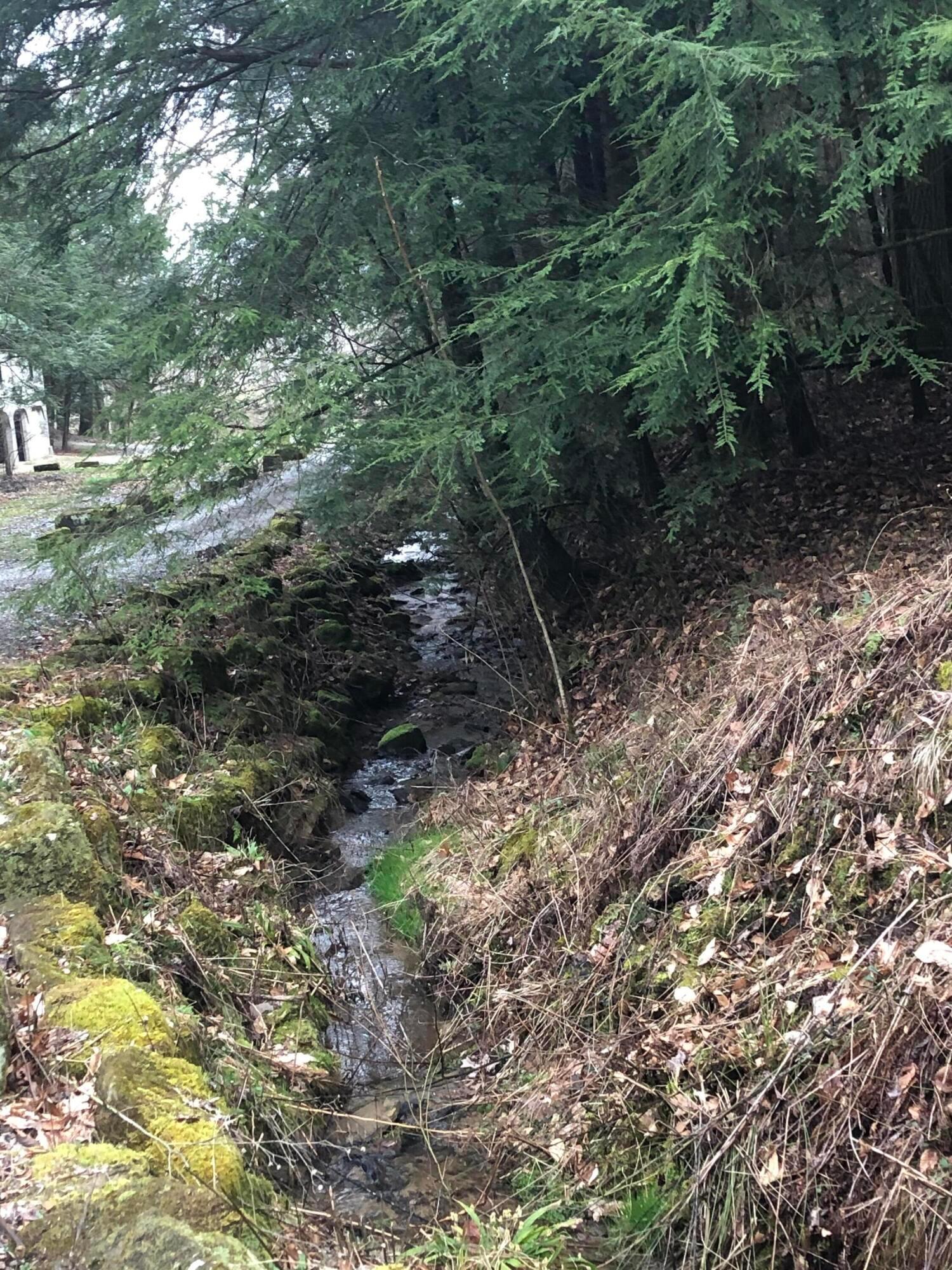 25779 Bailey Road Rockbridge, OH 43149 - Photo 20 of 89 Creek