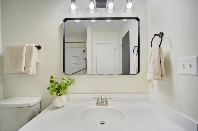 a bathroom with a sink a toilet and mirror