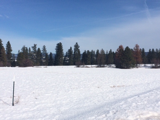 12007 East Summit Road Spokane, WA 99217 - Photo 2 of 13