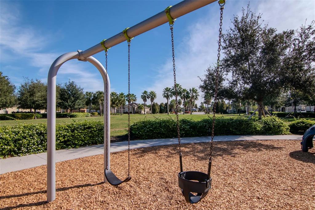 11229 Spring Point Circle Riverview, FL 33579 - Photo 38 of 40 a view of a park