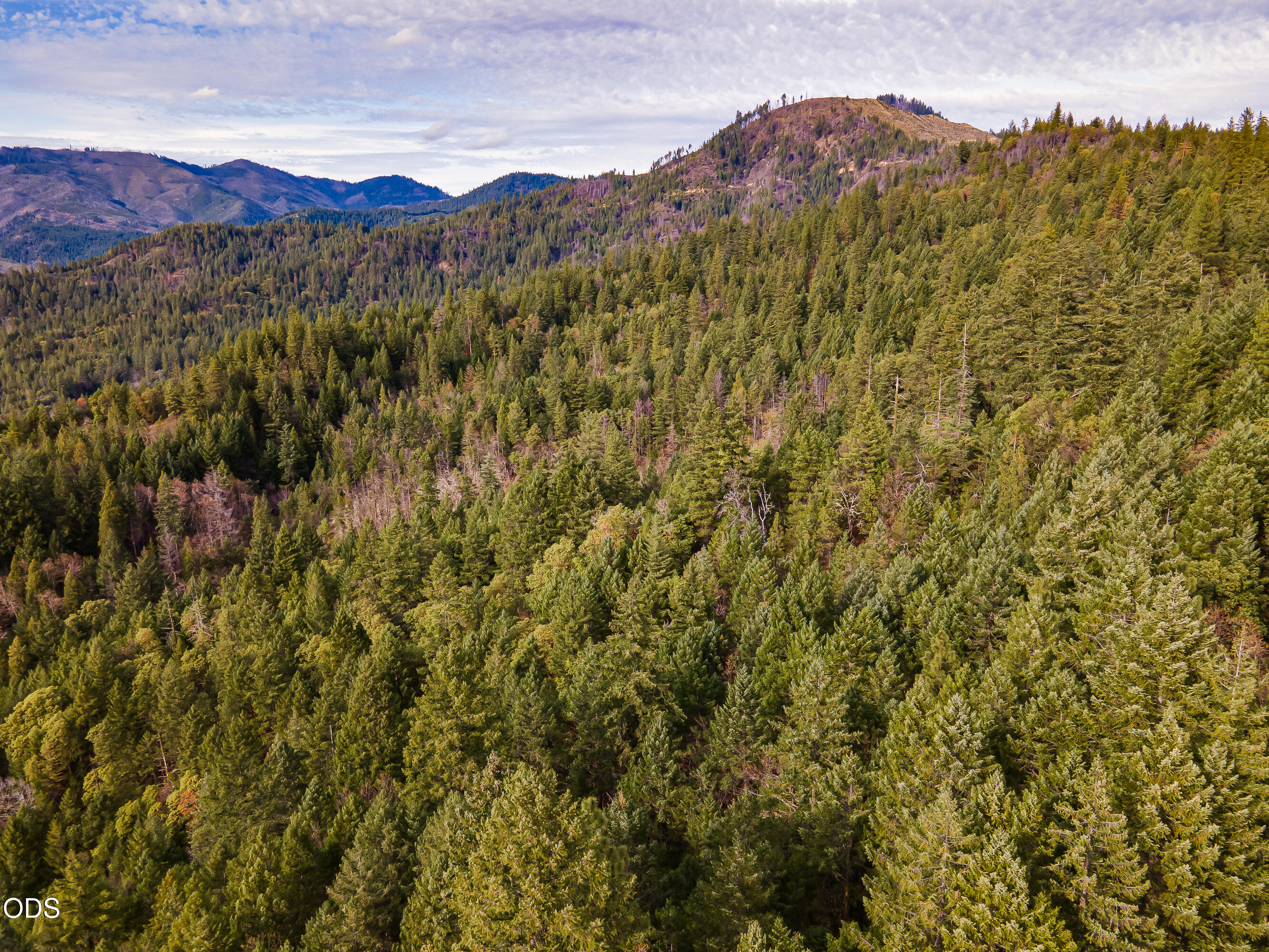 Pleasant Cr Road Rogue River, OR 97537 - Photo 13 of 42