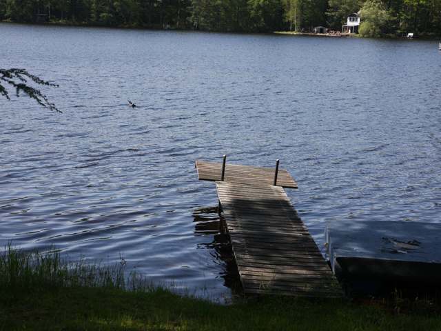 W15087 Two Island Lake Road Gleason, WI 54435 - Photo 18 of 18 Gallery Image 18