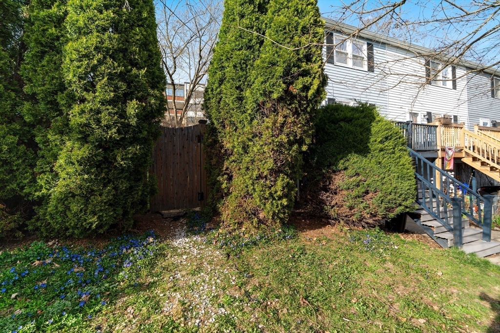45 Lawn Street Boston, MA 02120 - Photo 21 of 22 front view of a house with a yard