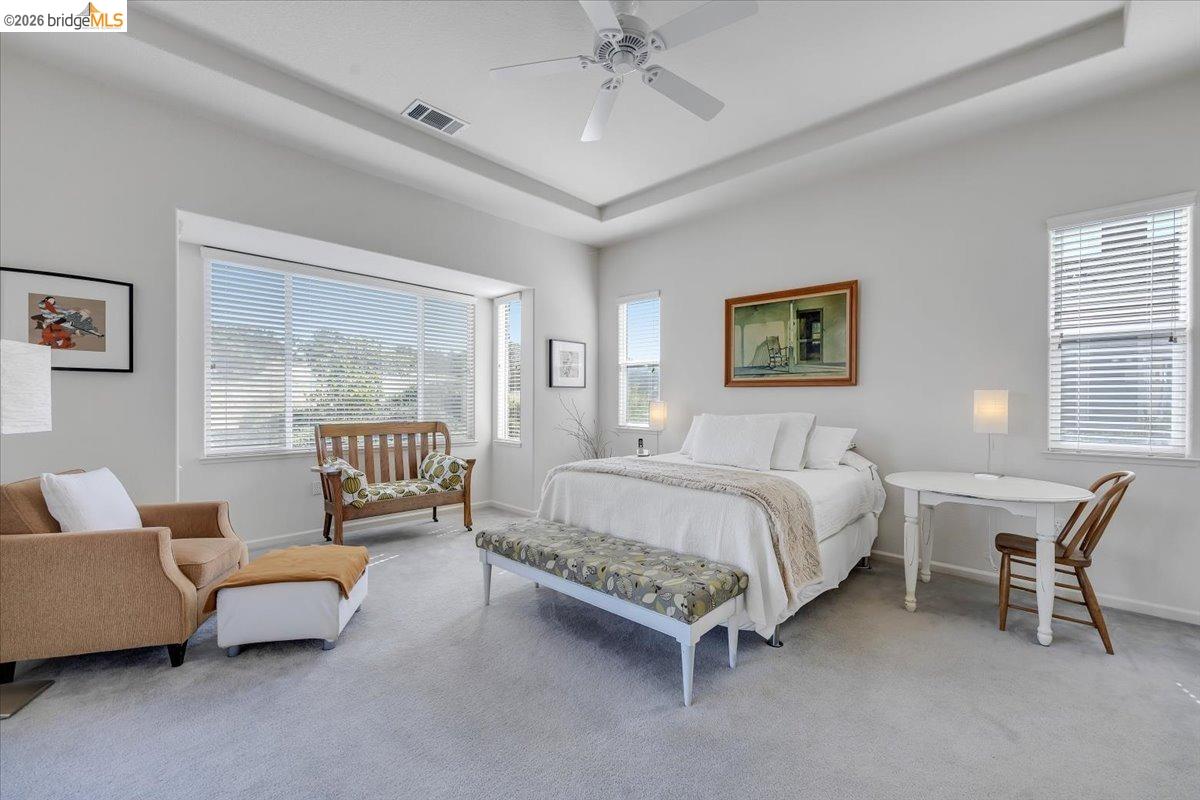 258 Rock Ridge Lane Copperopolis, CA 95228 - Photo 30 of 47 Carpeted bedroom featuring a tray ceiling and a ceiling fan