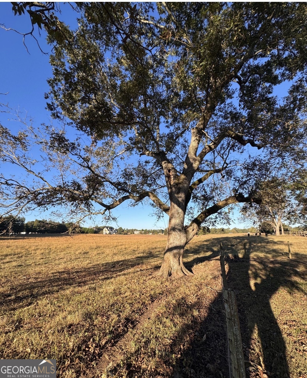 460 Mask Road Brooks, GA 30205 - Photo 7 of 19