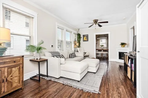 a living room with furniture and a potted plant
