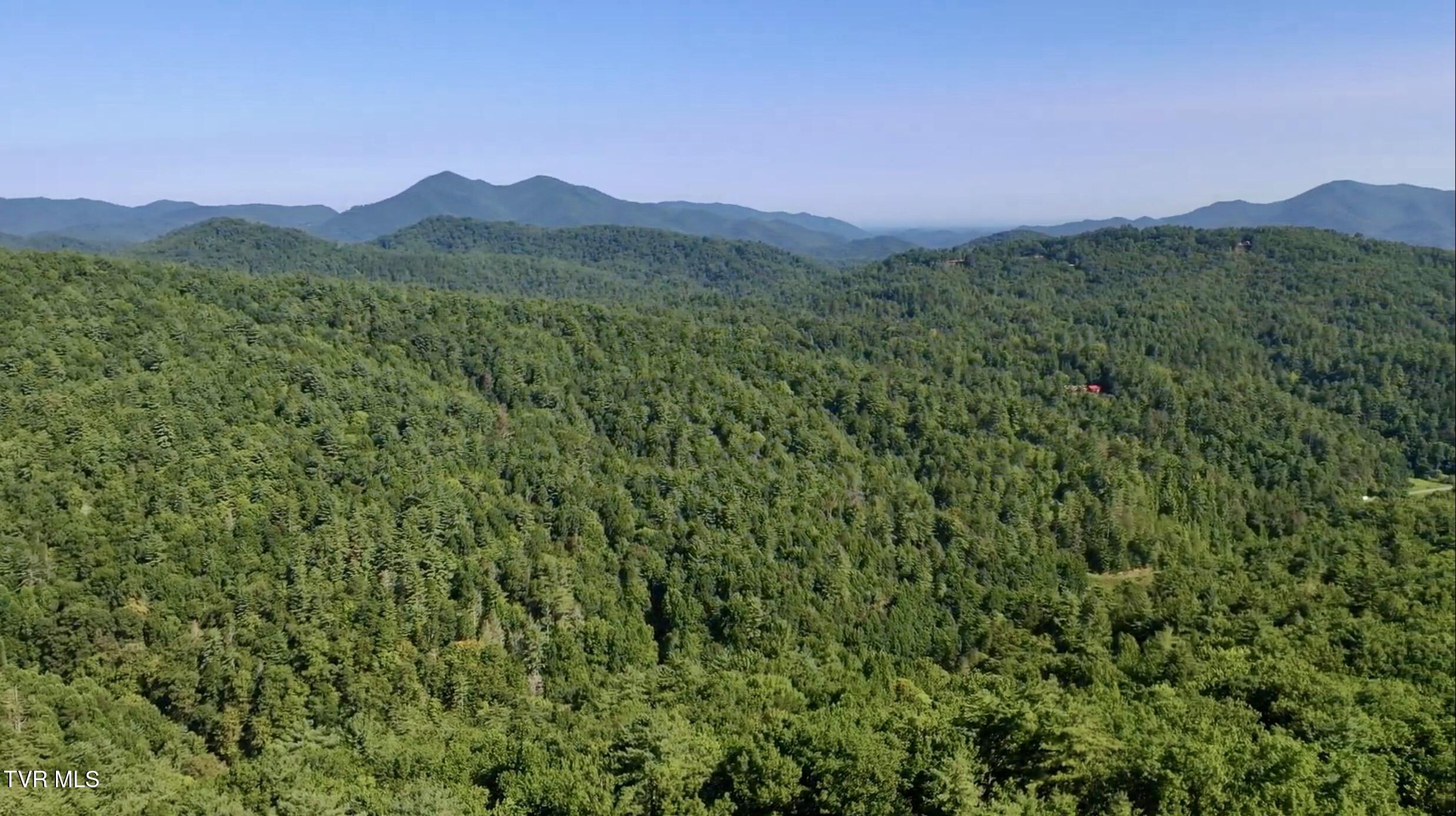 29.38-acre 29.38-acre Bull Mtn Road Del Rio, TN 37727 - Photo 23 of 30 _Pic23 (4)