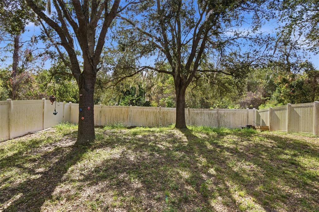 2463 Martins Run Tavares, FL 32778 - Photo 22 of 24 a backyard of a house with lots of green space