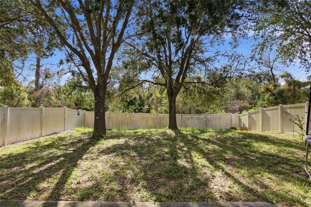 2463 Martins Run Tavares, FL 32778 - Photo 23 of 24 a view of backyard with tree
