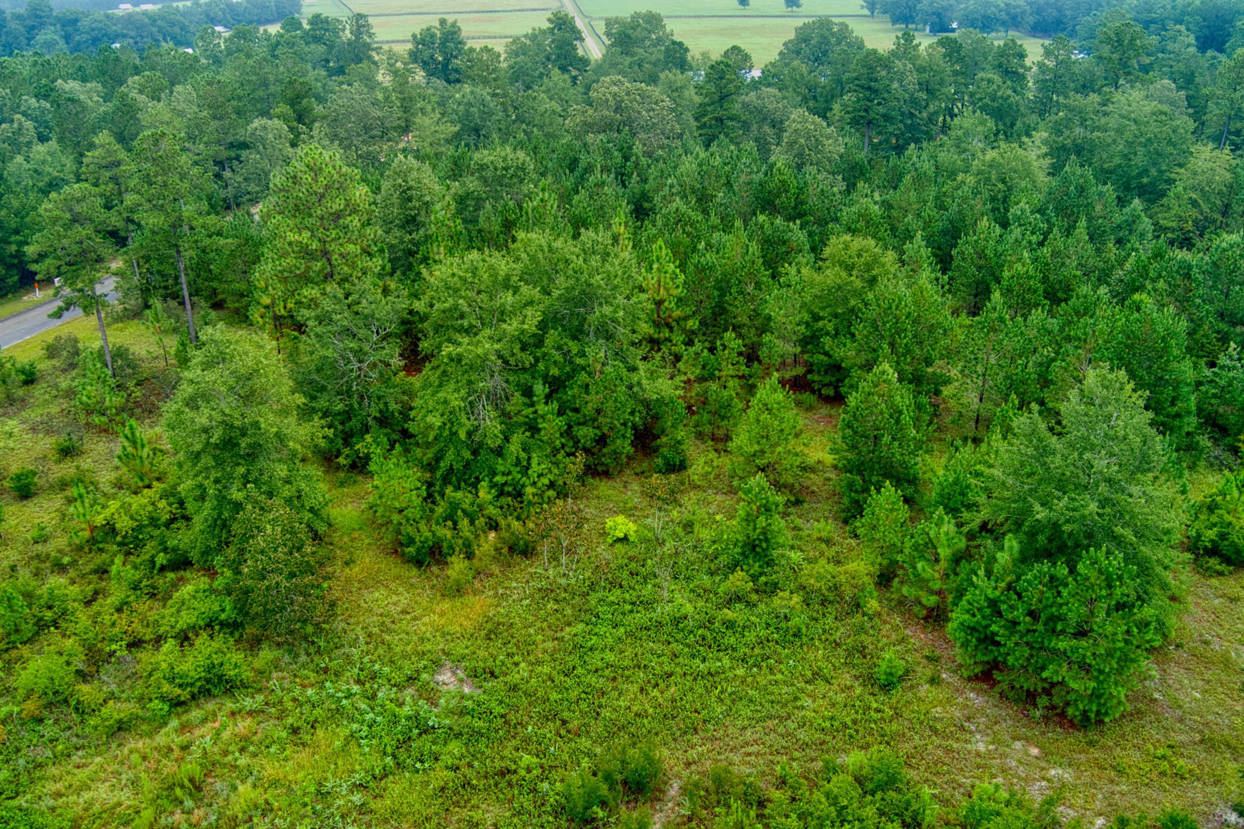 Lot 5 Cooks Pond Road Windsor, SC 29856 - Photo 13 of 23